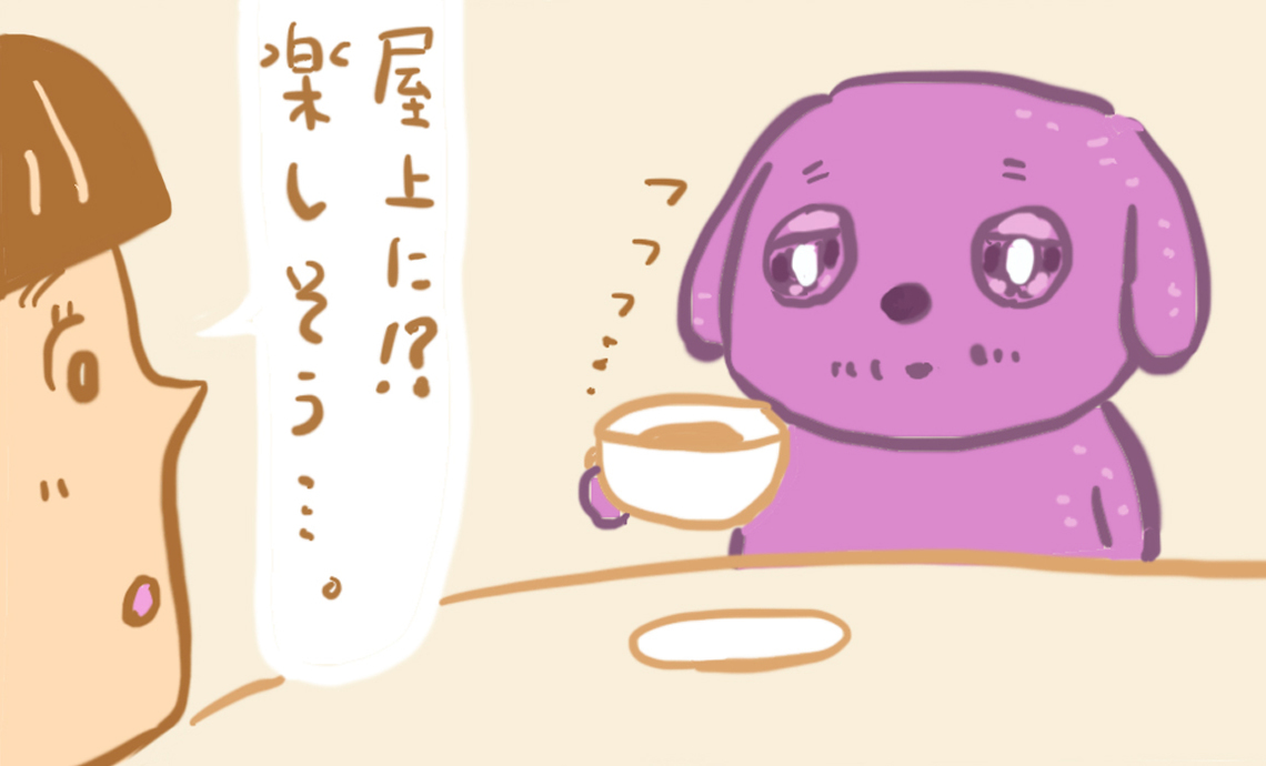 ショーワン5-8 屋上に、楽しそう