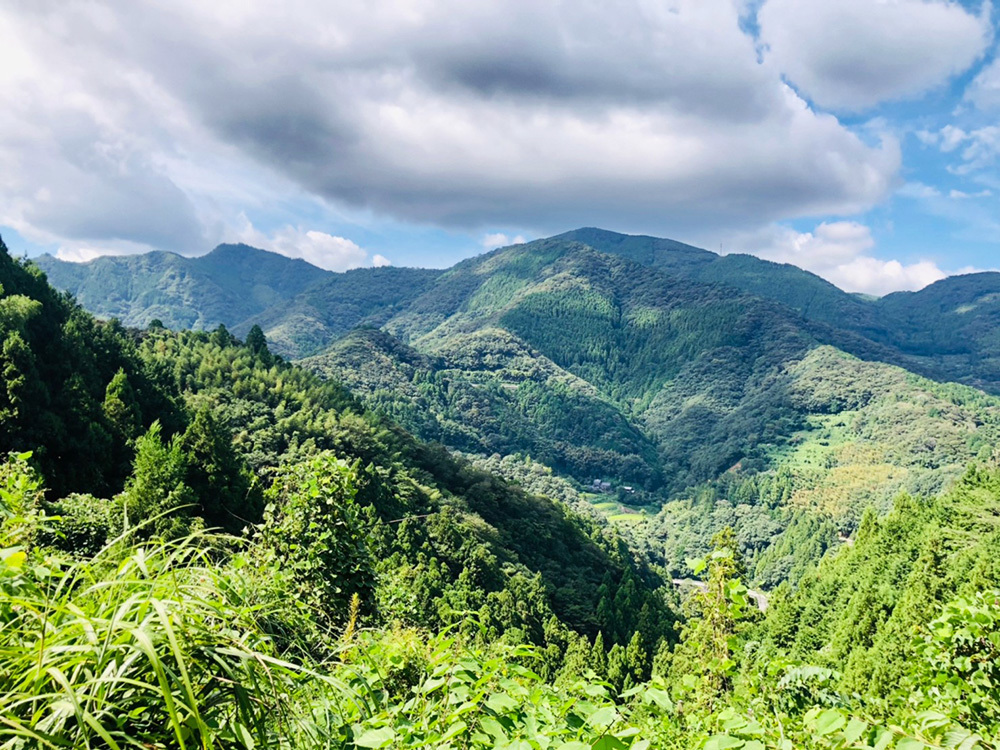 【続】ろーかる・ぐるぐる#172_写真04