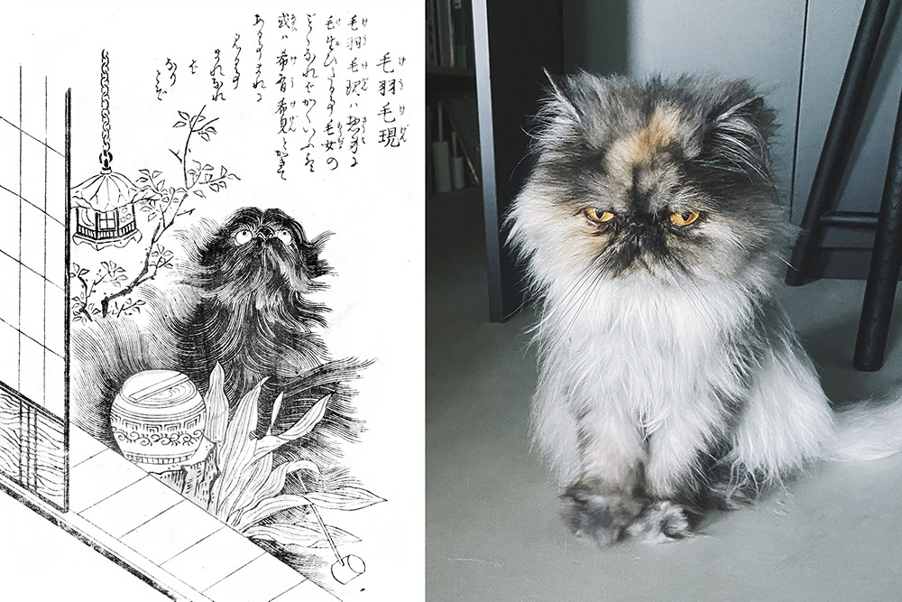 鳥山石燕「今昔百鬼拾遺」より妖怪「毛羽毛現」（左）と「マジョ」さん（右）