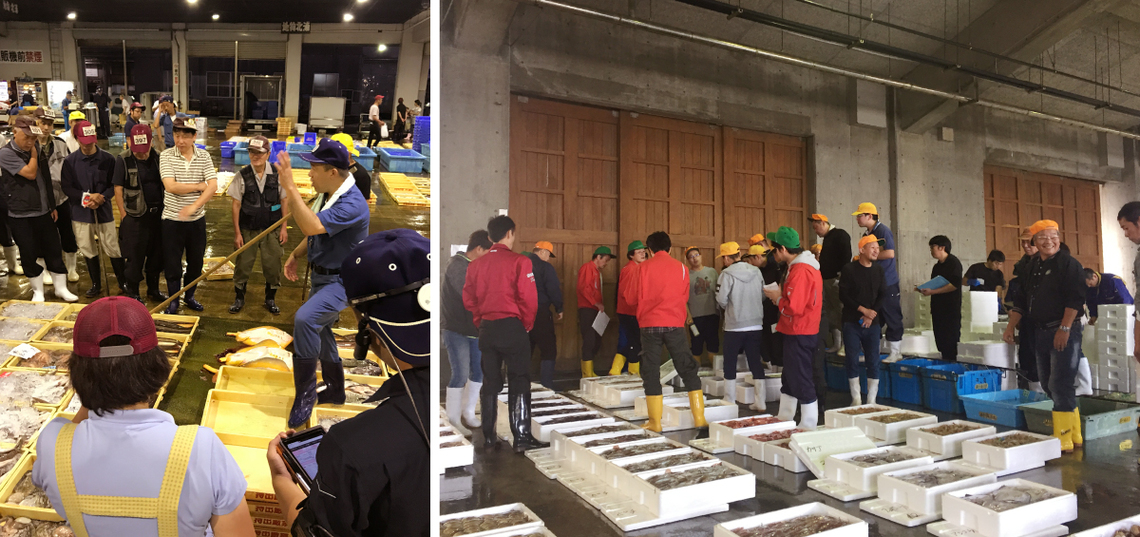 活気あふれる魚市場の様子(セリの風景)