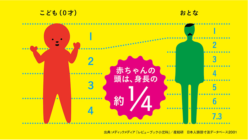 こどもとおとな比率の違い