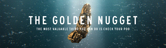 ゴールデンナゲット