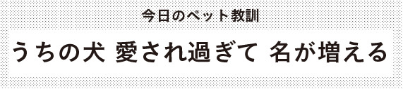 《今日のペット教訓》 うちの犬 愛されすぎて 名が増える
